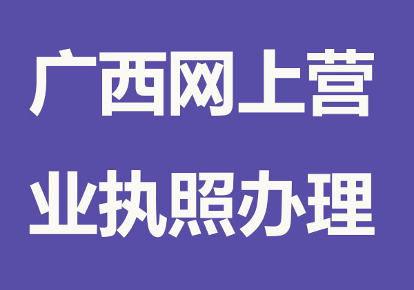 广西营业执照网上注册流程