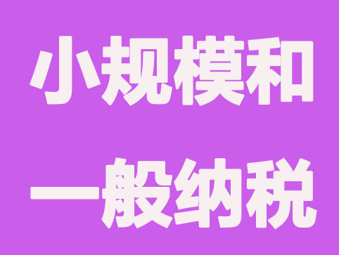 一般纳税人和小规模记账存在哪些差异？