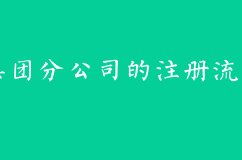 集团分公司的注册流程